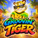 Grooving Tiger